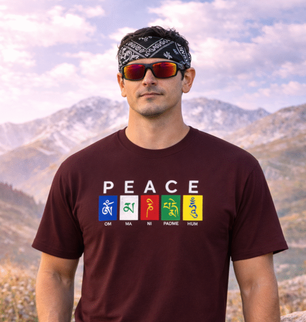 Ladakh T shirt Travel